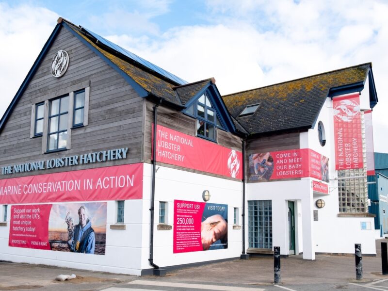 National Lobster Hatchery