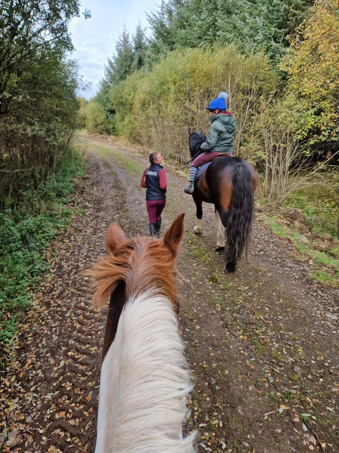Field House Equestrian Centre