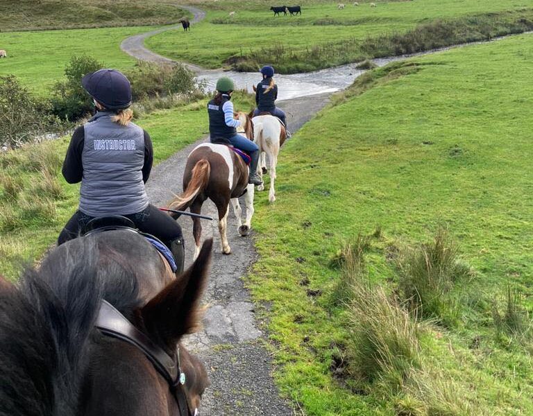 Field House Equestrian Centre