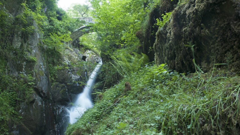 Aira Force and Ullswater