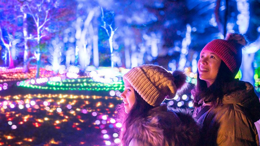 Christmas at the Botanics