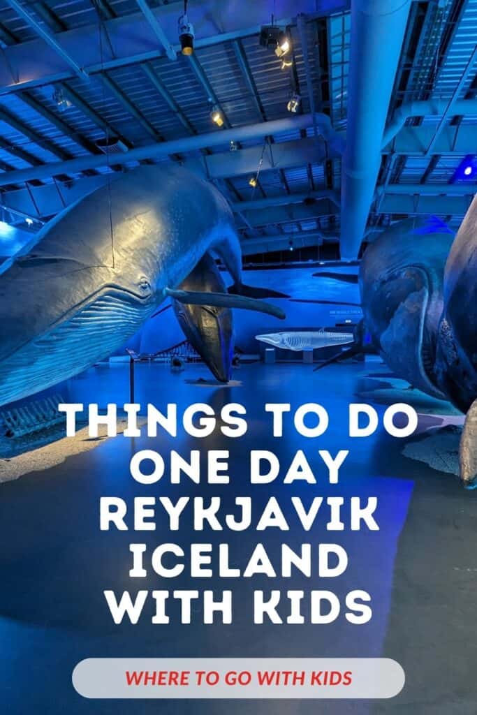 Things to do in Reykjavik Iceland with kids in one day