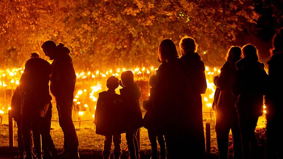 Christmas Lights at Leeds Castle