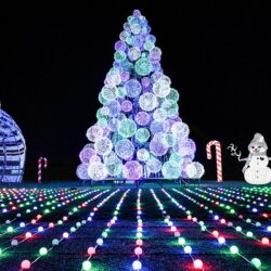 60+ Best Christmas Light Trails UK 2025