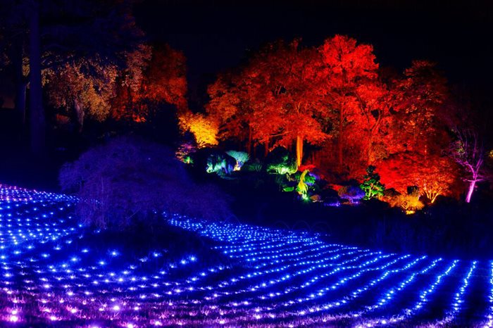 RHS Harlow Carr Glow