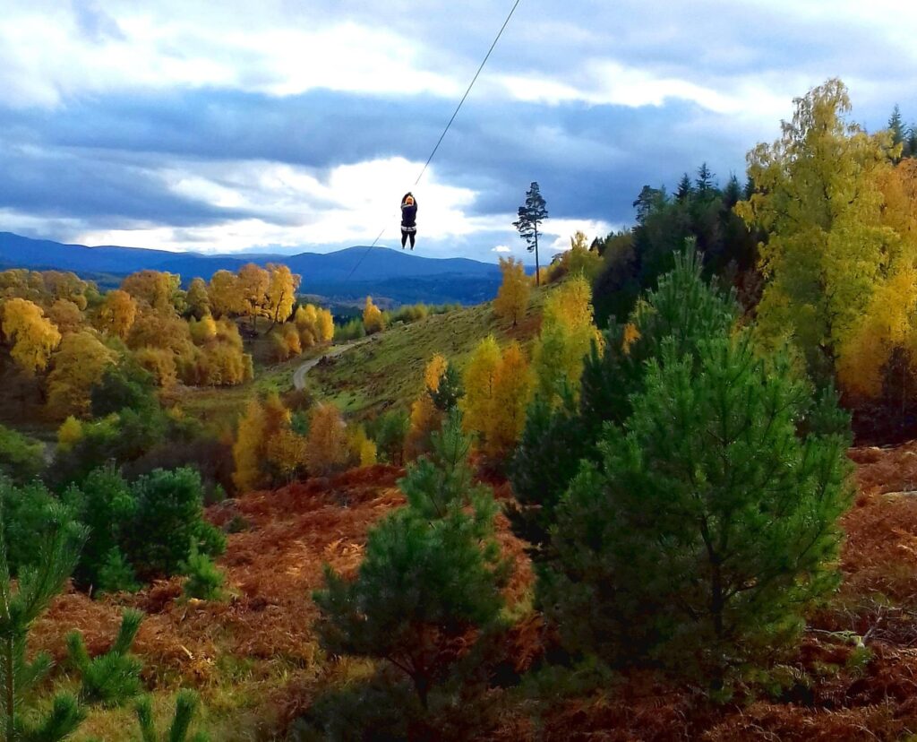 Zip Trek Adventure Park