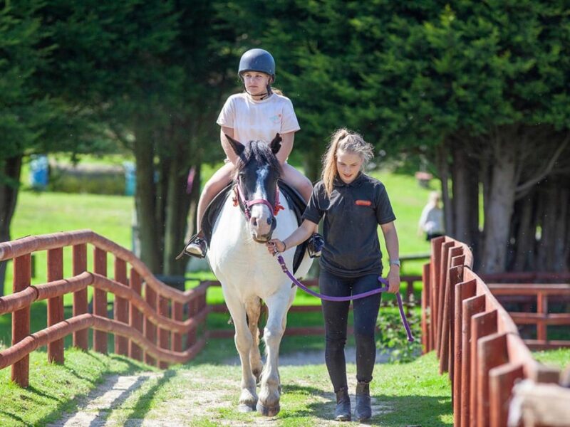 Springfields Fun Park and Pony Centre