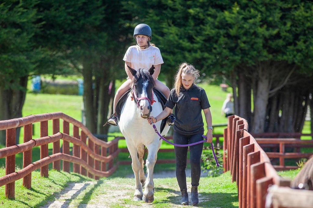 Springfields Fun Park and Pony Centre