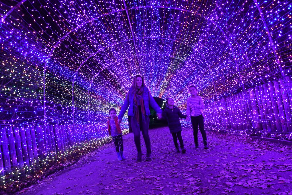 Yorkshire Wildlife Park Winter Illuminations