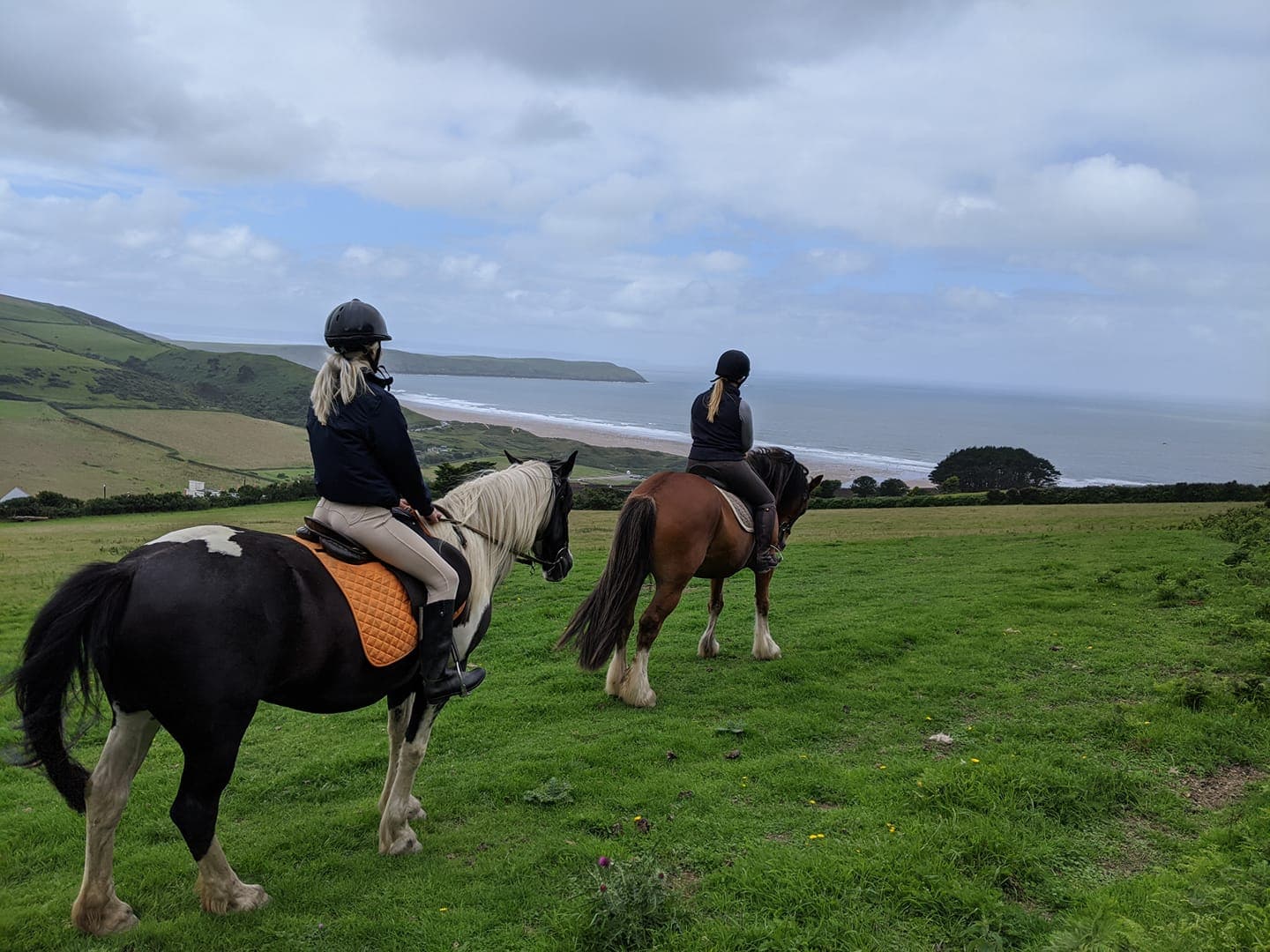 Woolacombe Riding Stables