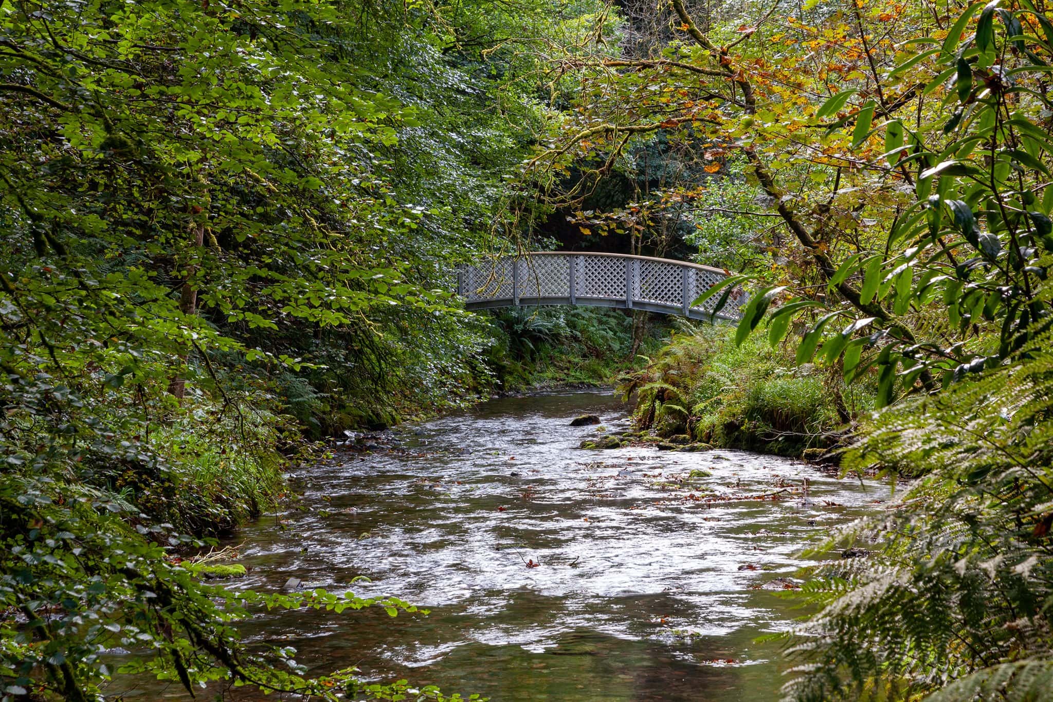 Lydford Gorge