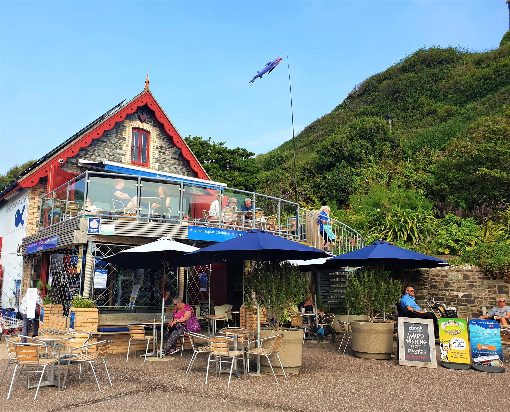 Ilfracombe aquarium,