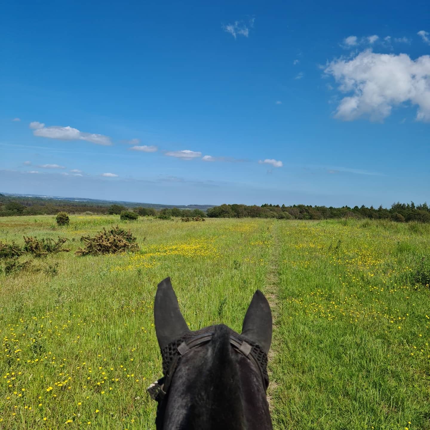 Lulworth Equestrian Centre