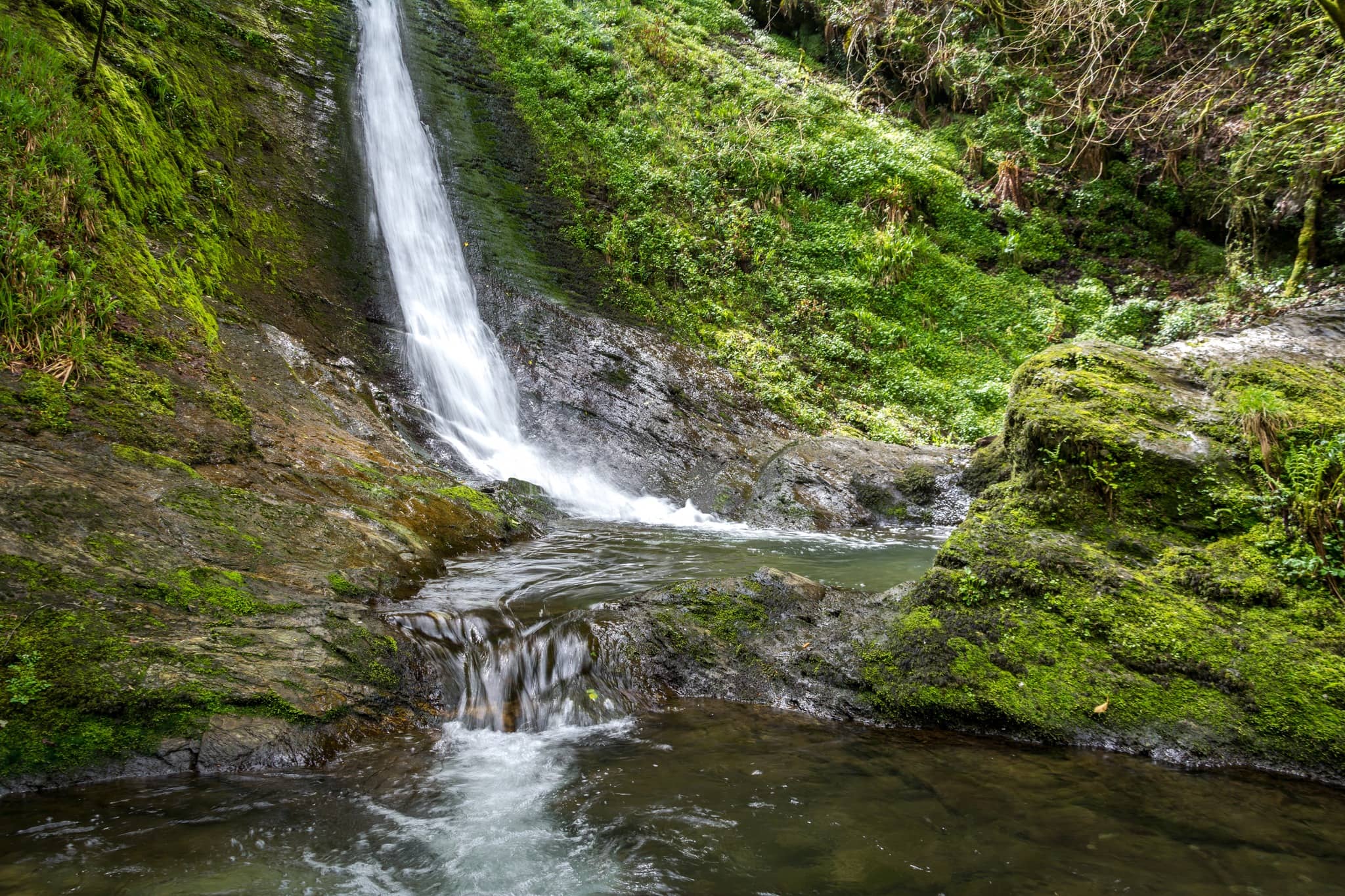 Lydford Gorge