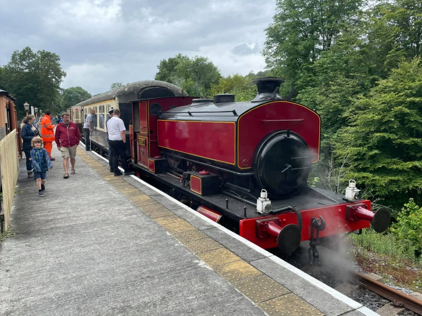 Plym Valley railway