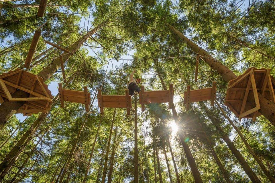 Tunnel Tree Tops