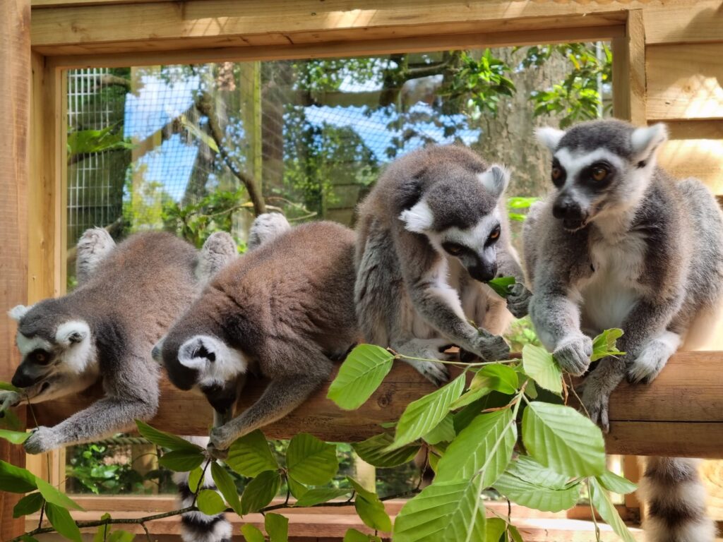 Shaldon Wildlife Trust - Where To Go With Kids - Devon