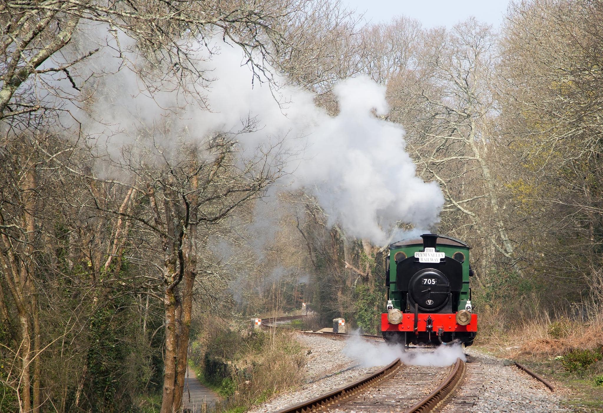 Plym Valley Railway