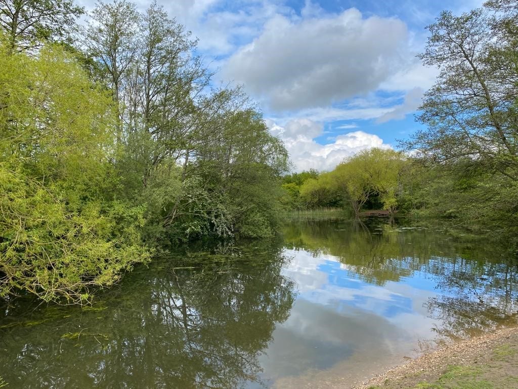 Cudmore Grove Country Park