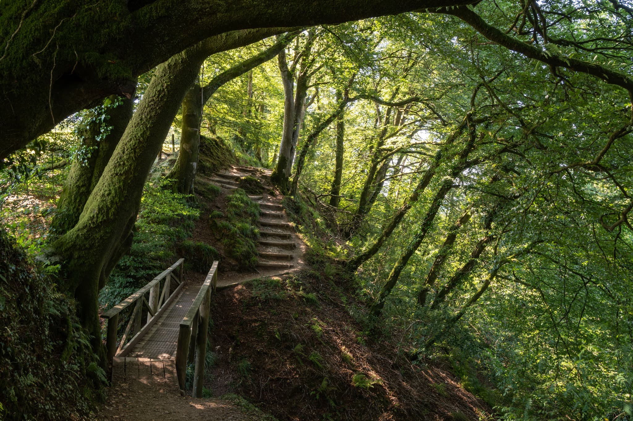 Lydford Gorge