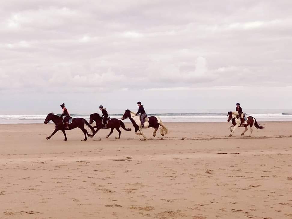Woolacombe Riding Stables