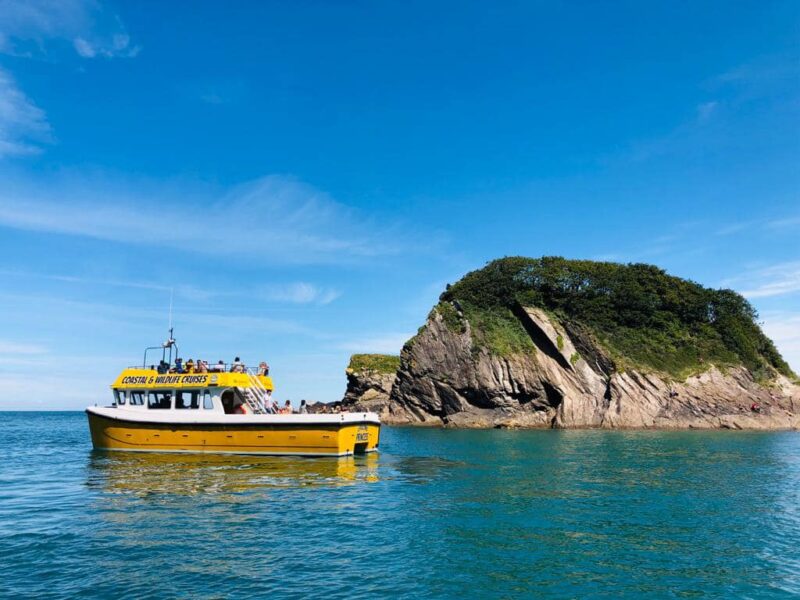 Ilfracombe Coastal Cruises