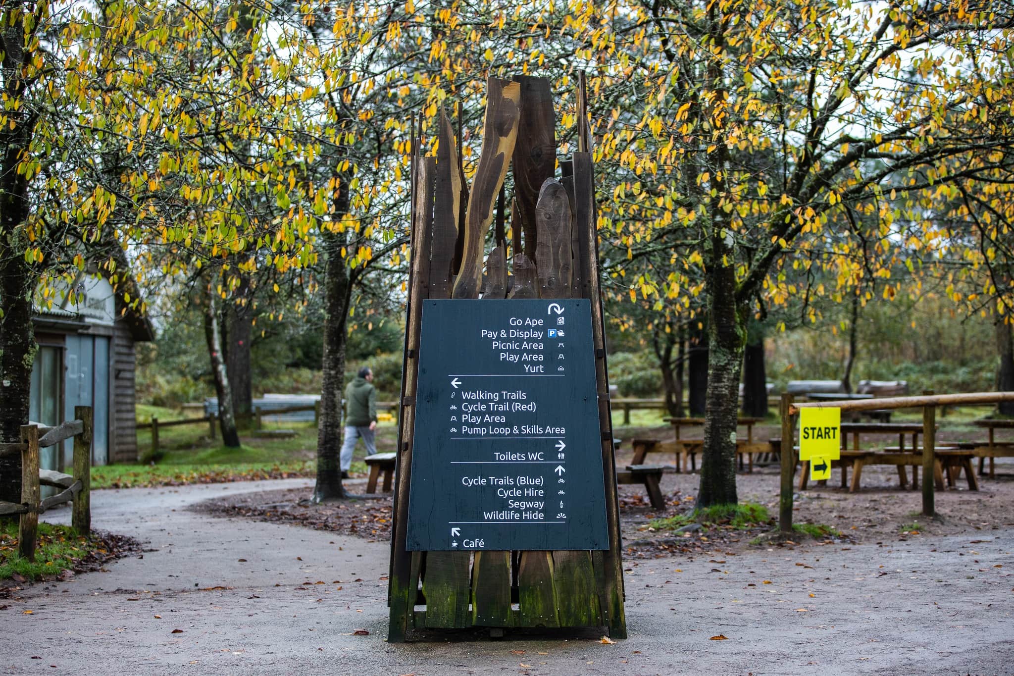 Haldon Forest Park