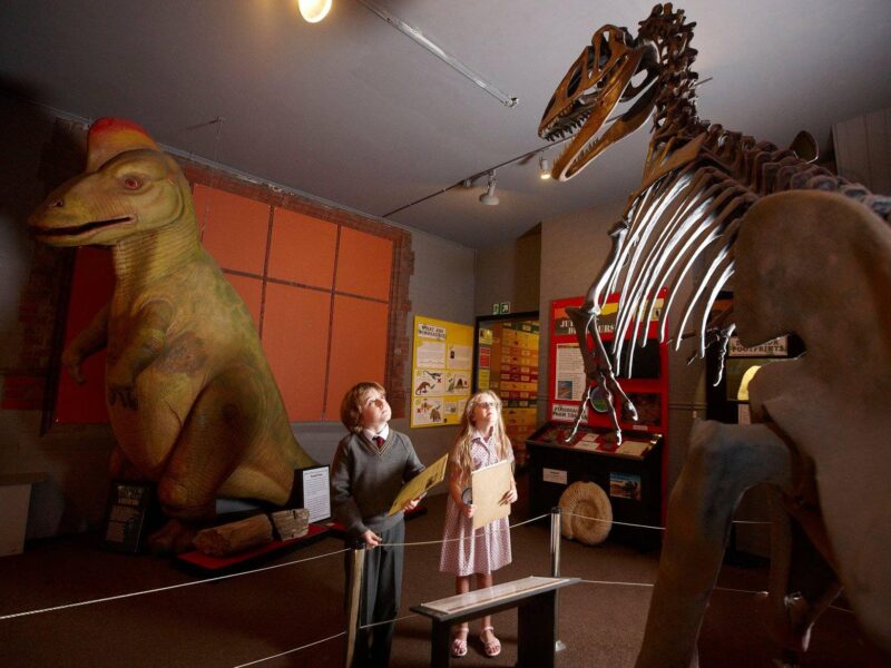 The Dinosaur Museum