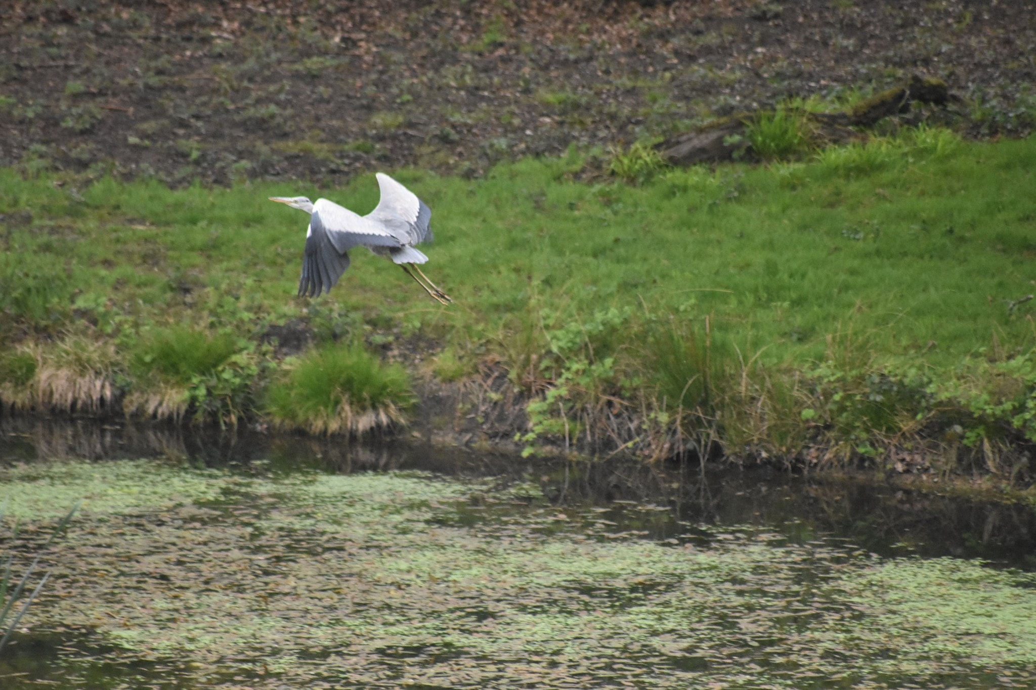 Parndon Wood Nature Reserve