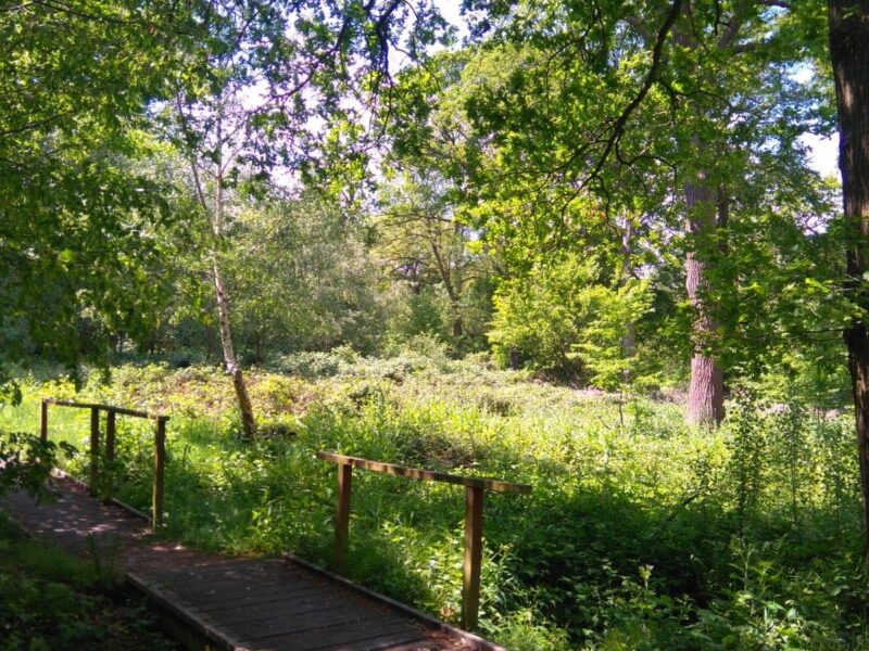 Parndon Wood Nature Reserve