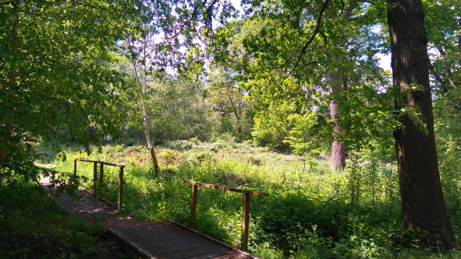 Parndon Wood Nature Reserve