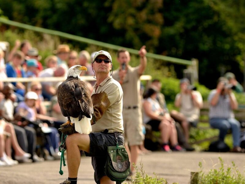 Hawk Conservancy Trust