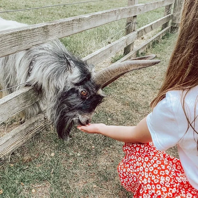 Langleybury Childrens Farm