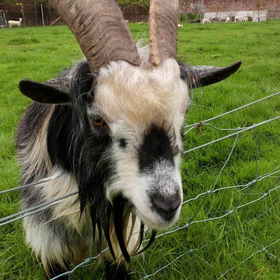 Wythenshawe Community Farm