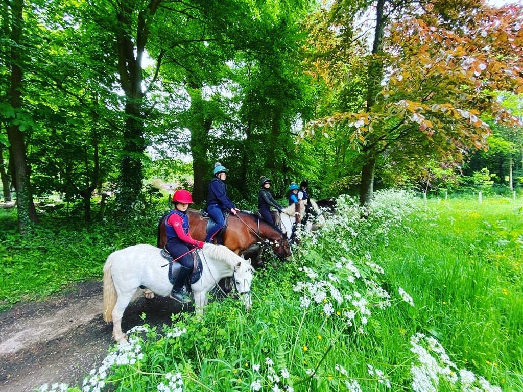 Noakes Farm Riding Centre