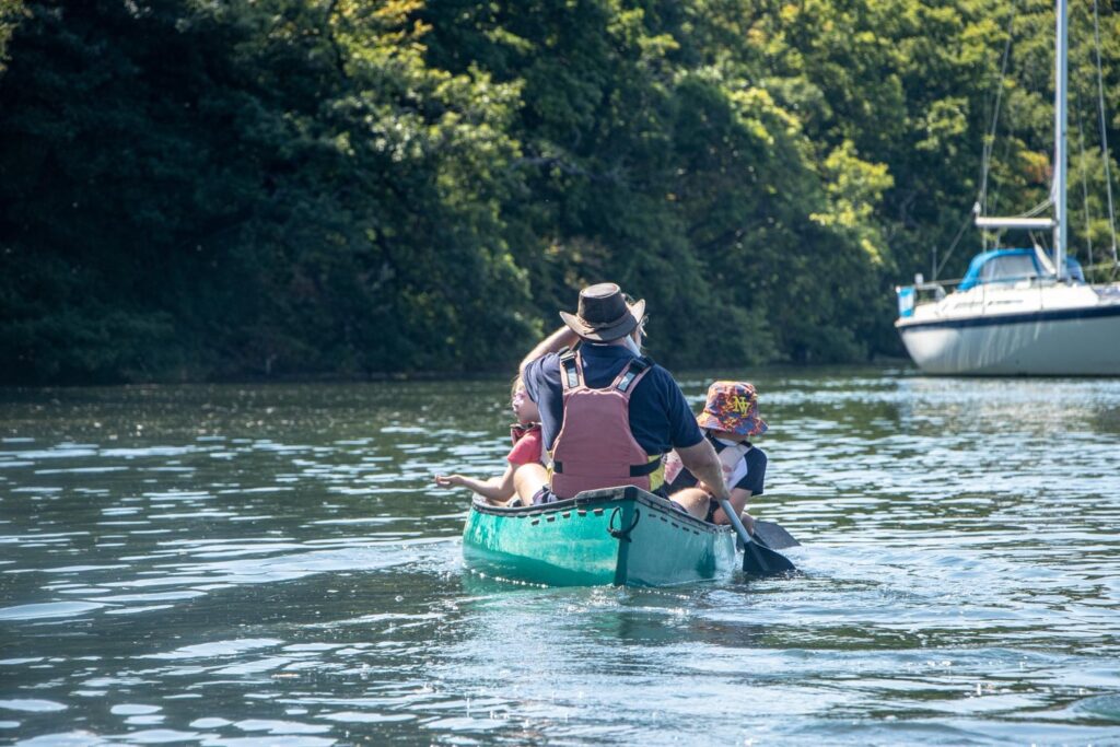 New Forest Activities