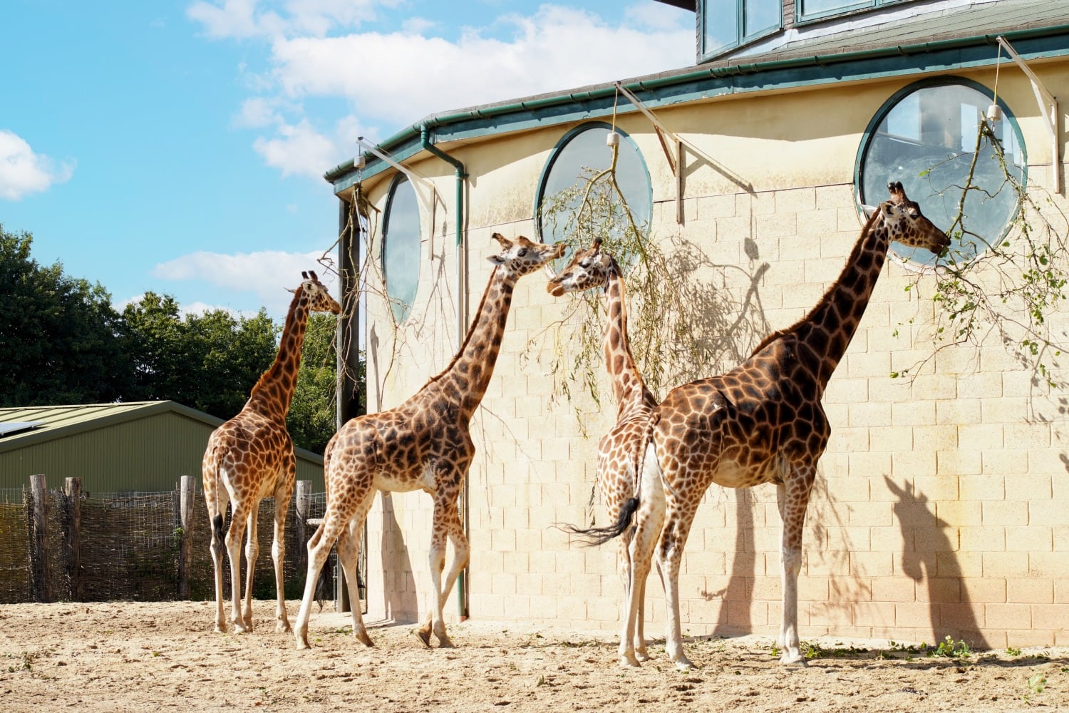 Marwell Wildlife