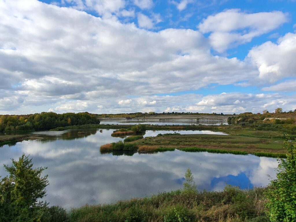 College Lake Nature Reserve