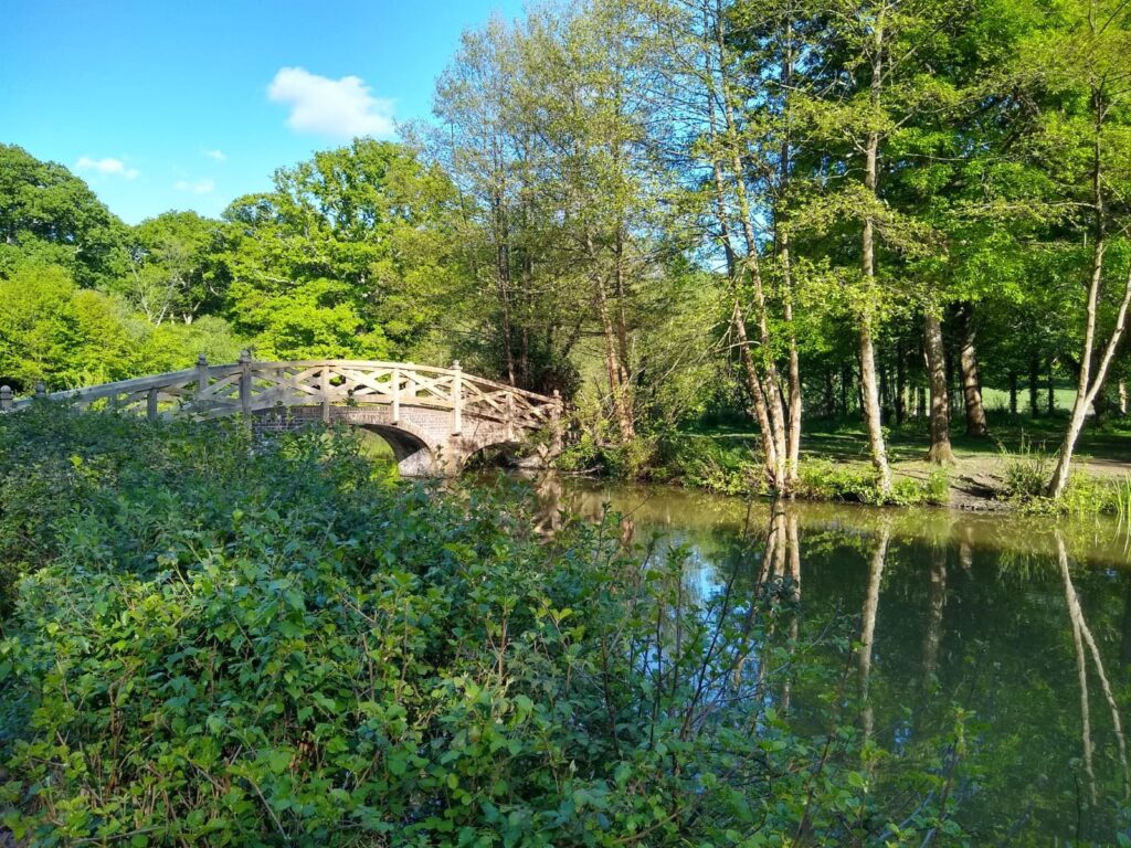 Staunton Country Park