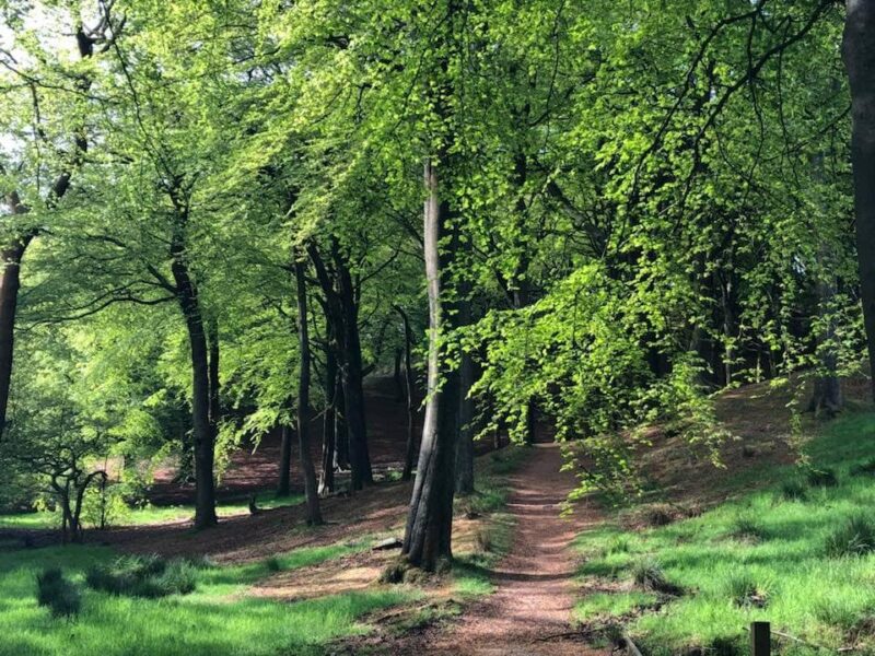 Tandle Hill Country Park