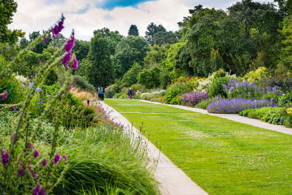 Sir Harold Hillier Gardens