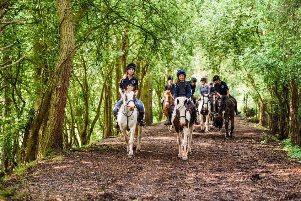 Noakes Farm Riding Centre