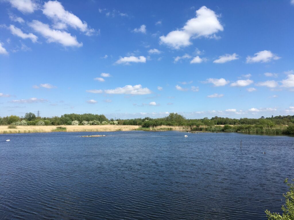 RSPB Rye Meads