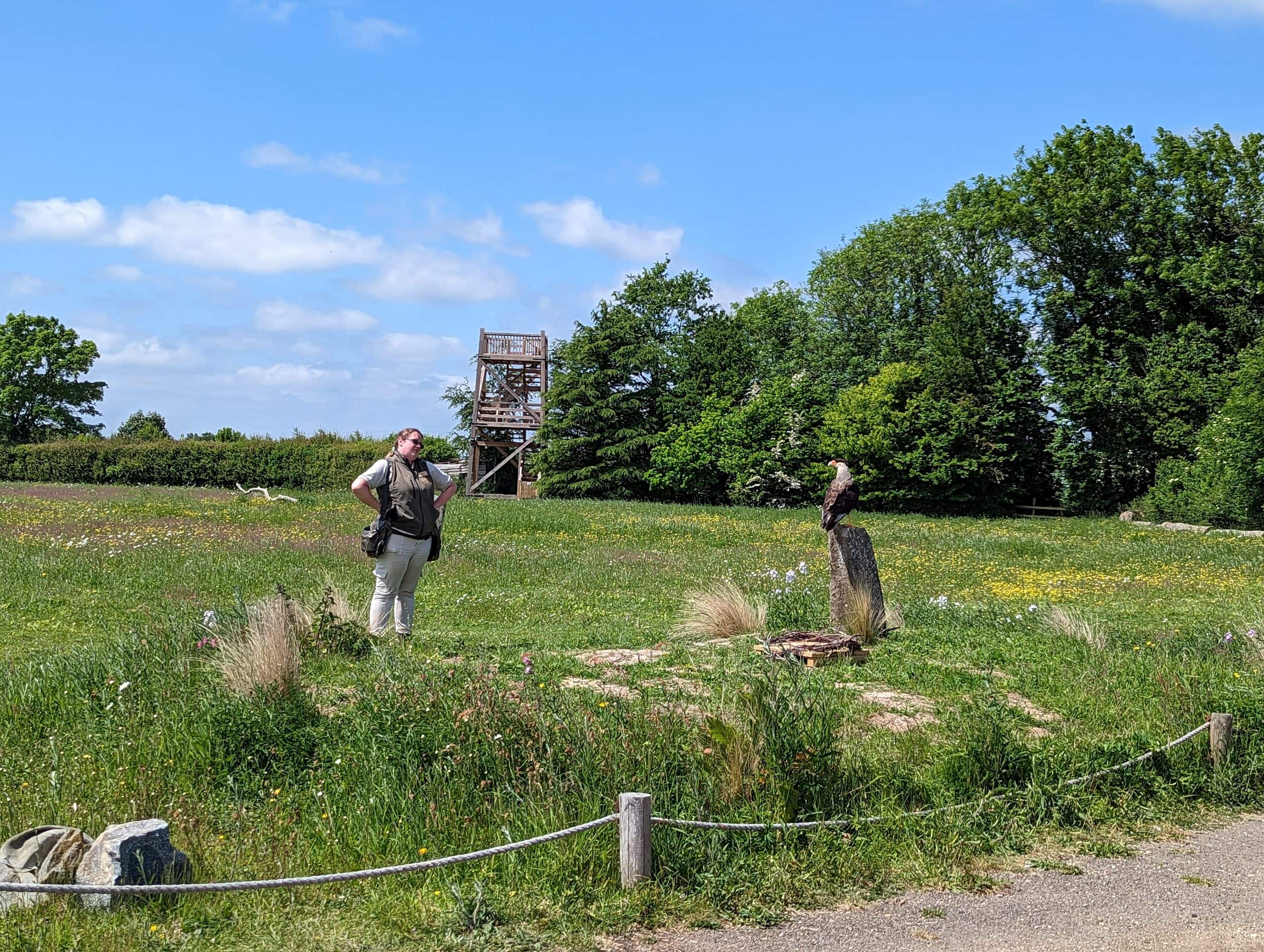 Hawk Conservancy Trust