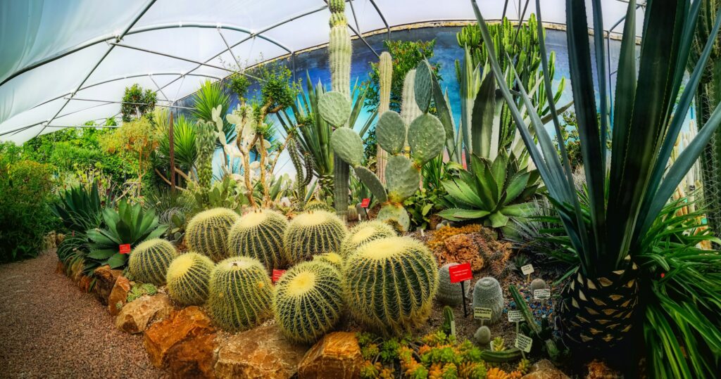 Lullingstone Castle and the World Garden