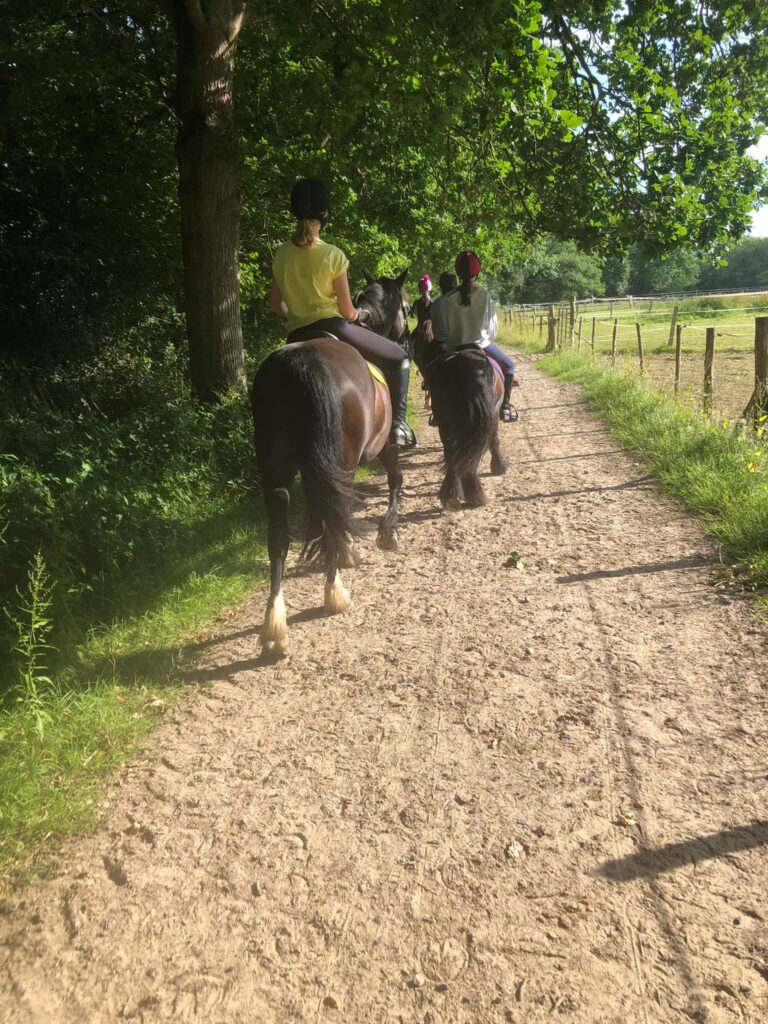 Wellgrove Farm Equestrian