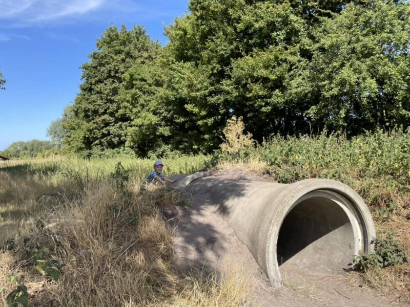 Knettishall Heath Nature Reserve