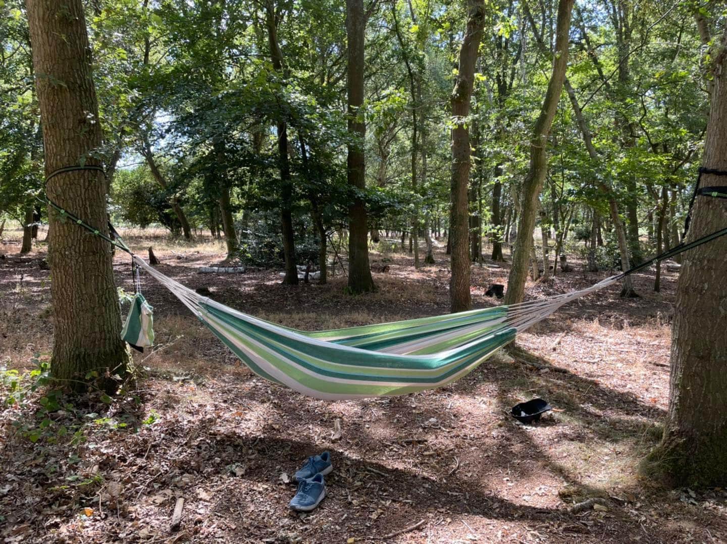 Knettishall Heath Nature Reserve