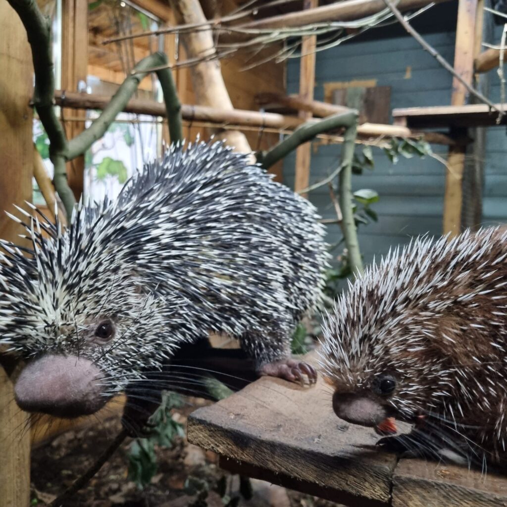 Hemsley Conservation Centre