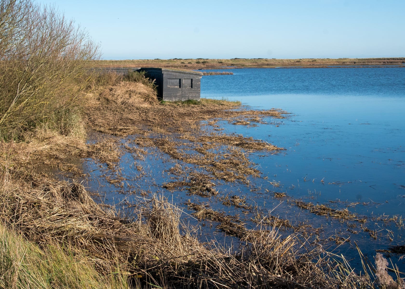 RSPB Titchwell Marsh